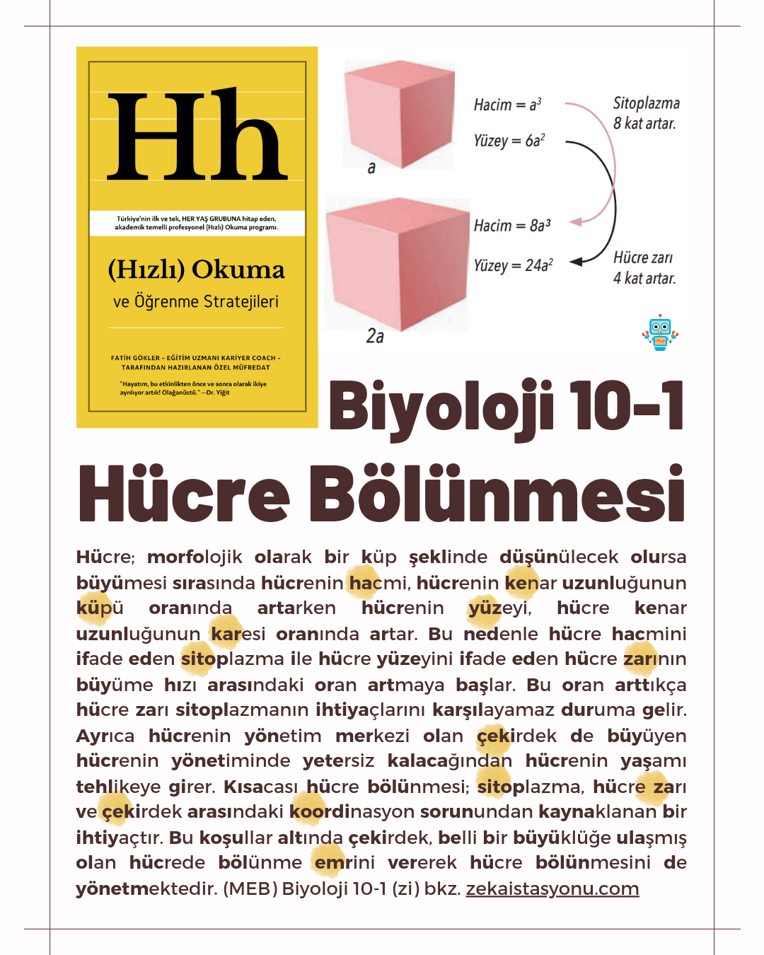 {sistemYES!} Biyoloji 10-1 Hücre Bölünmeleri