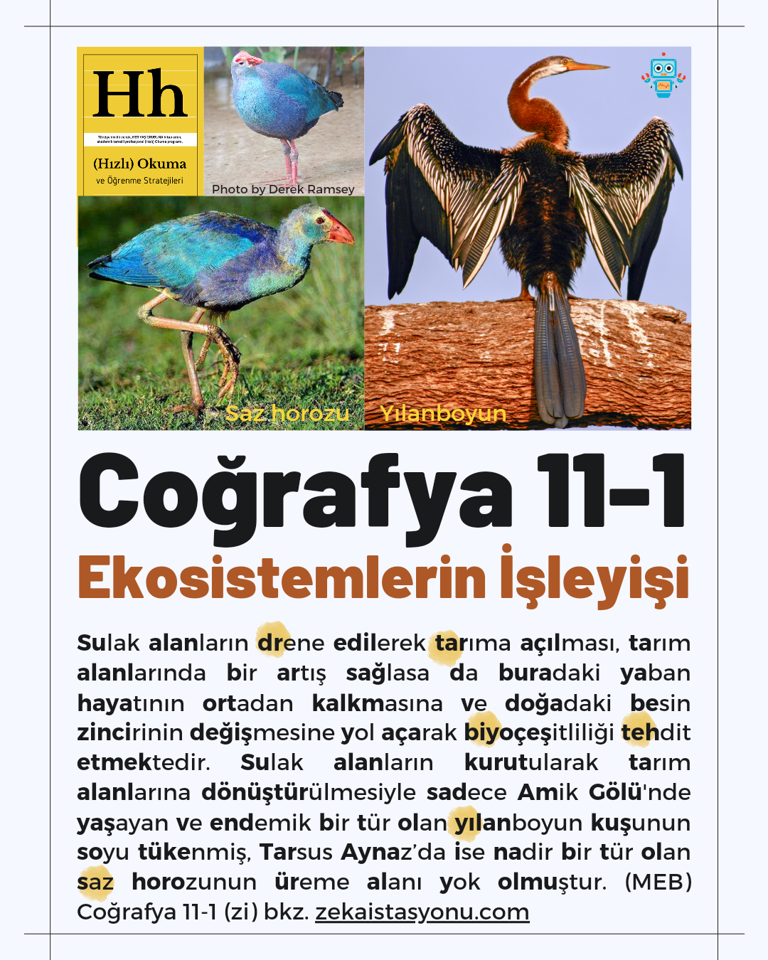 {sistemYES!} Coğrafya 11-1 Doğal Sistemler